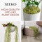 Succulents Extra Large Spanish Moss (3pck, 33" Long) - Fake Moss for Crafts
